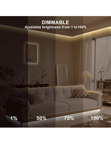 Tira LED COB inteligente Olaholii 2m regulable 2700K-6500K