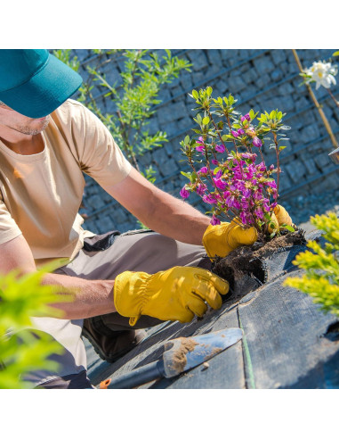 Guantes de trabajo DULFINE de cuero para jardinería - Grande