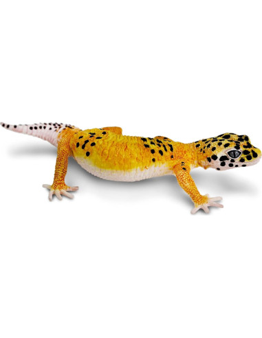 Figura de Gecko Leopardo Safari Ltd. 17.78 cm Juguete Educativo
