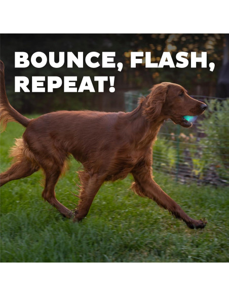 Pelota LED para Perros Outward Hound Strobe Verde 7.6cm Pelota LED para Perros Outward Hound Strobe Verde 7.6cm