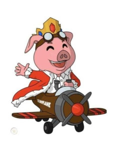 Figura de Vinilo Youtooz Technoblade Technoplane 12.7 cm 2