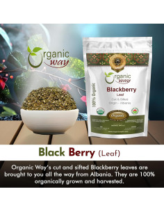 Hoja de Mora Orgánica 0.45 kg - Organic Way - Certificado USDA 2