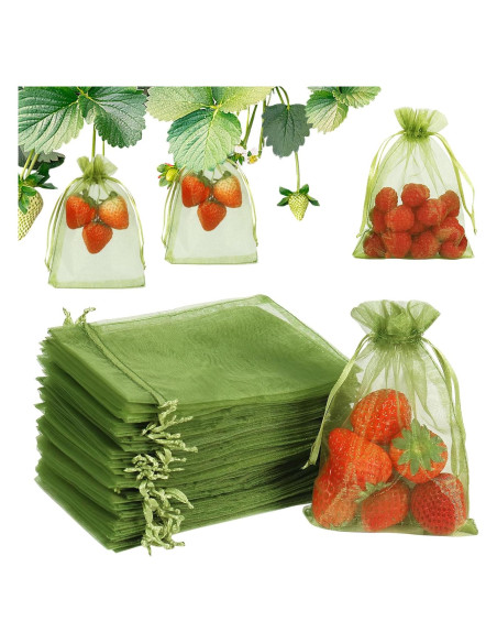 Bolsas de Protección para Frutas Shintop 100 Pcs 10x15 cm Verde Bolsas de Protección para Frutas Shintop 100 Pcs 10x15 cm Verde