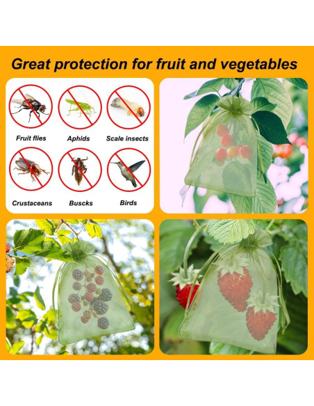 Bolsas de Protección para Frutas Shintop 100 Pcs 10x15 cm Verde Bolsas de Protección para Frutas Shintop 100 Pcs 10x15 cm Verde