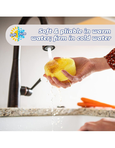 Cepillo de Platos Scrub Daddy Dish Daddy con Esponjas Repuesto