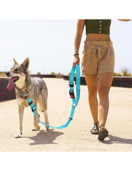 Cinturón de Seguridad para Perros YAODHAOD Ajustable Nylon Cinturón de Seguridad para Perros YAODHAOD Ajustable Nylon