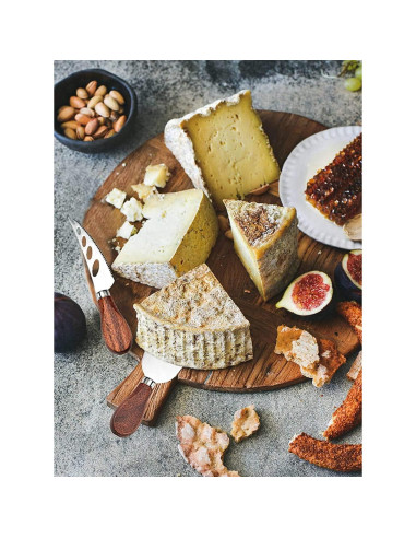 Juego de cuchillos de queso JLIAN MIOR 4 piezas acero inoxidable