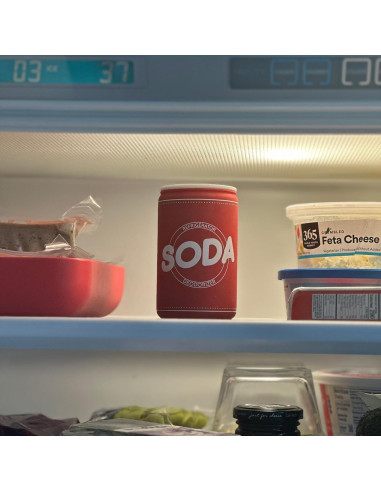 Desodorante para Refrigerador Fox Run Lata de Soda 230 ML