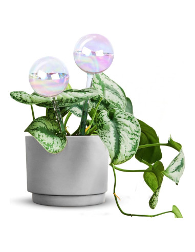 Esferas de Riego de Vidrio EcoNour 2PCS | Autorriego para Plantas