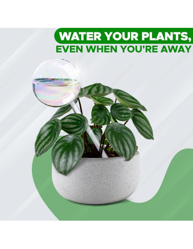 Esferas de Riego de Vidrio EcoNour 2PCS | Autorriego para Plantas