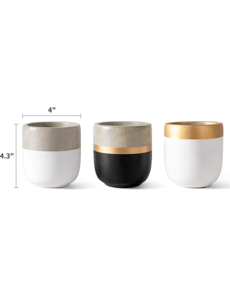 Maceteros de Cemento Dahey 3 Pack 10.16 cm para Suculentas Maceteros de Cemento Dahey 3 Pack 10.16 cm para Suculentas