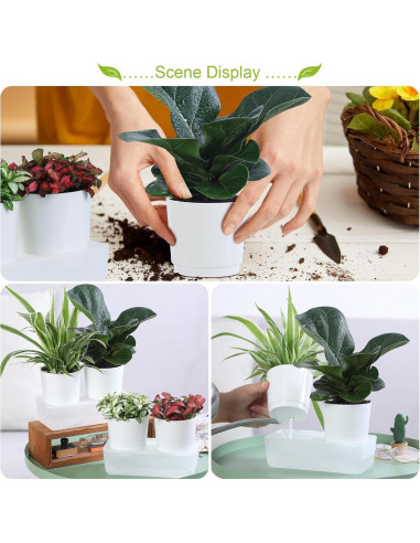 Macetas de Autorriego Oliz 4 Piezas para Jardinería