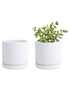 Juego de 2 macetas D'vine Dev de cerámica 11.7 cm con plato