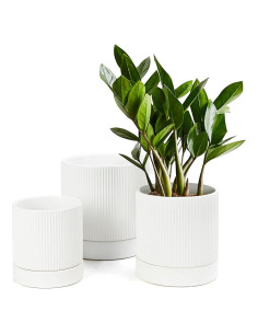 LaDoVita 3 Macetas de Cerámica 15/12/10 cm con Drenaje