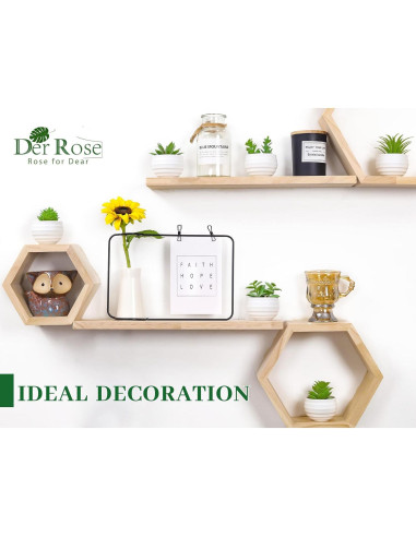 Set de 6 Plantas Suculentas Artificiales Der Rose en Macetas