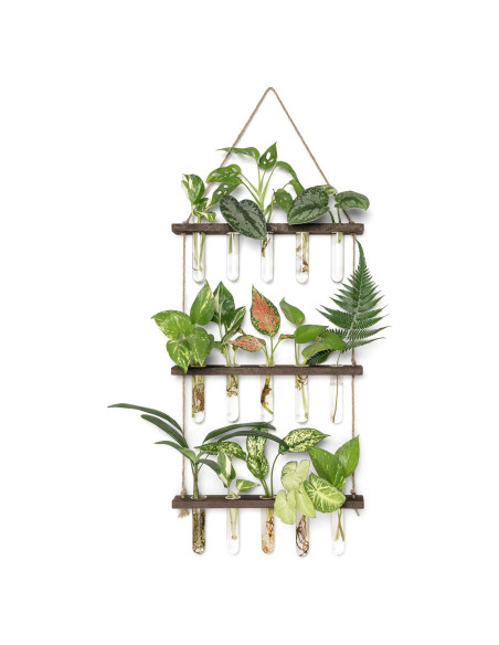 Terrario Colgante de Pared Mkono 3 Niveles con Soporte de Madera Terrario Colgante de Pared Mkono 3 Niveles con Soporte de Madera