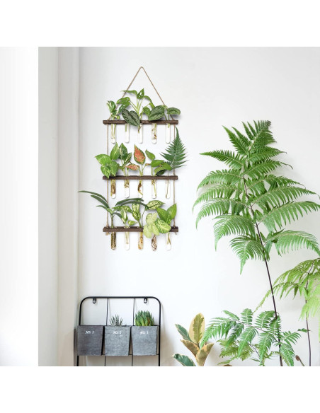 Terrario Colgante de Pared Mkono 3 Niveles con Soporte de Madera Terrario Colgante de Pared Mkono 3 Niveles con Soporte de Madera