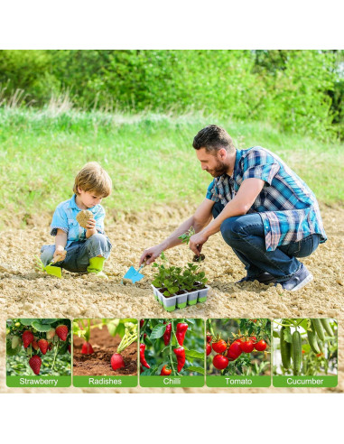 Kit de Bandejas de Inicio de Plántulas Backyard Expressions - 5 Bandejas de 60 Celdas