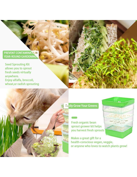Kit de Germinación de Semillas PHAIN 4 Niveles Verde Drenaje Kit de Germinación de Semillas PHAIN 4 Niveles Verde Drenaje