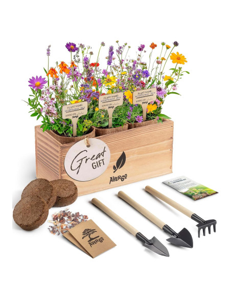 Kit de Crecimiento de Flores Silvestres AVERGO - Incluye Semillas, Macetas y Herramientas Kit de Crecimiento de Flores Silvestres AVERGO - Incluye Semillas, Macetas y Herramientas