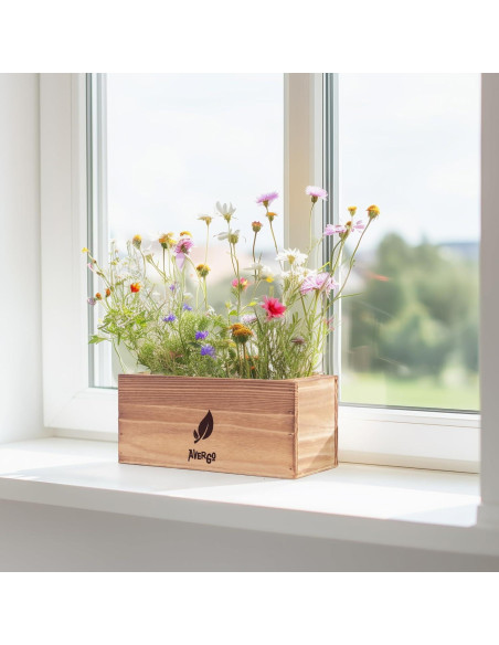Kit de Crecimiento de Flores Silvestres AVERGO - Incluye Semillas, Macetas y Herramientas Kit de Crecimiento de Flores Silvestres AVERGO - Incluye Semillas, Macetas y Herramientas
