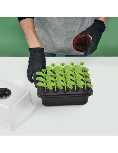 Bandeja de Inicio de Semillas PACETAP con Luz LED y 20 Esponjas