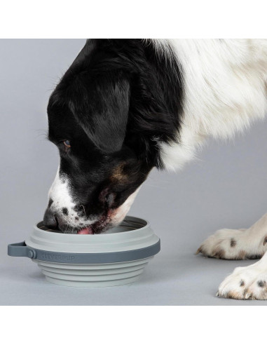Tazón Colapsable Grande Cleverpup - Silicona 4 Tazas Gris