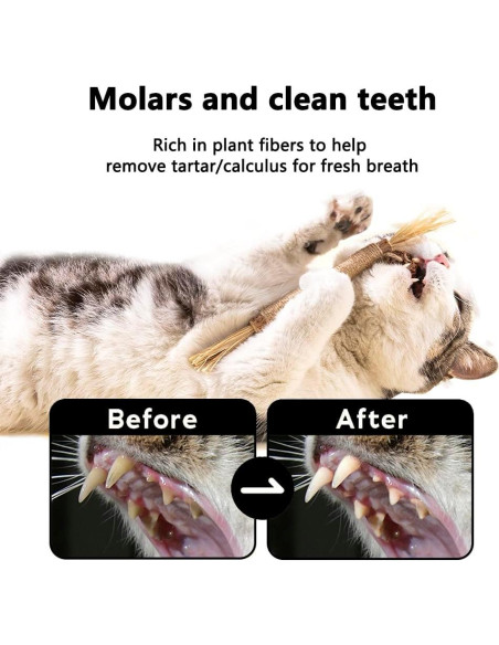 6 Palos de Silvervine Natural HZ-M para Gatos - Juguetes Dentales 6 Palos de Silvervine Natural HZ-M para Gatos - Juguetes Dentales