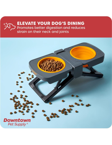 Comedero Elevado Plegable Downtown Pet Supply - 5 Tazas