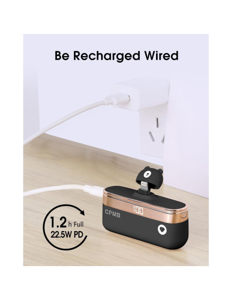 Banco de Energía Portátil 5000mAh Shenzhen S1 Carga Rápida 22.5W Banco de Energía Portátil 5000mAh Shenzhen S1 Carga Rápida 22.5W