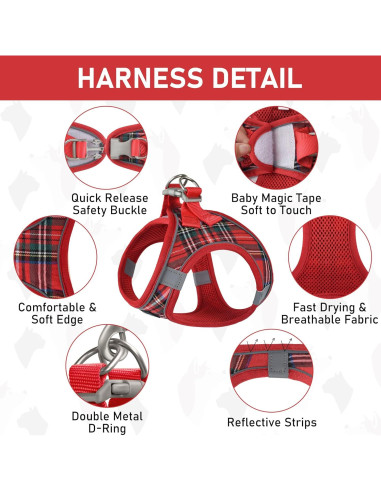 Conjunto Arnés, Collar y Cinturón de Seguridad GAMUDA Rojo S