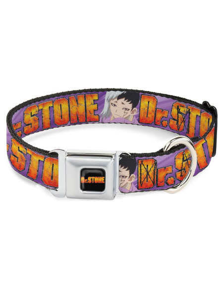 Collar para Perro Crunchyroll Dr Stone 16-23" (40.64-58.42 cm) Collar para Perro Crunchyroll Dr Stone 16-23" (40.64-58.42 cm)