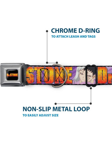 Collar para Perro Crunchyroll Dr Stone 16-23" (40.64-58.42 cm)