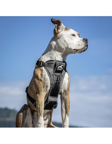 Arnés Inteligente Kurgo Tru-Fit Extra Grande Negro para Perros