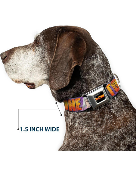 Collar para Perro Crunchyroll Dr Stone 16-23" (40.64-58.42 cm) Collar para Perro Crunchyroll Dr Stone 16-23" (40.64-58.42 cm)