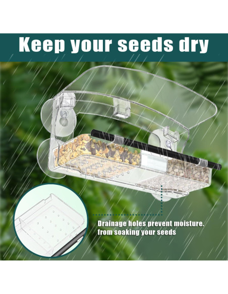 Comedero para Aves de Ventana WLLKOO 2 Paquetes con Ventosas Comedero para Aves de Ventana WLLKOO 2 Paquetes con Ventosas