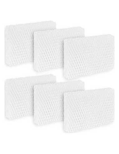 Paquete de 6 Filtros de Humidificador WF813 Equate Relion ProCare