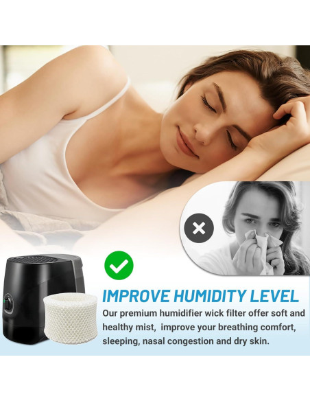 Filtros de Humidificador Lemige HC-888 C - 4 Pack Repuesto Filtros de Humidificador Lemige HC-888 C - 4 Pack Repuesto