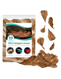 Hojas de Catappa SunGrow 50 pcs para Betta - 5.08 cm