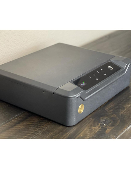 Caja Fuerte Biométrica Adoreal para 2 Pistolas con LCD Caja Fuerte Biométrica Adoreal para 2 Pistolas con LCD
