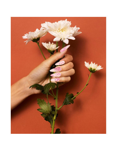Plantilla de Estampado de Uñas Dagslys Geométrica 15x6.9cm