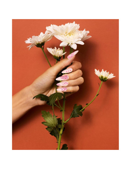 Plantilla de Estampado de Uñas Dagslys Geométrica 15x6.9cm Plantilla de Estampado de Uñas Dagslys Geométrica 15x6.9cm
