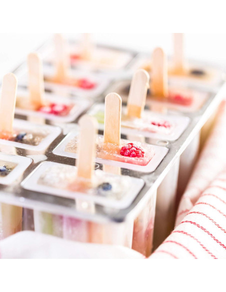 Fabricante de Paletas Congeladas Fox Run 10 Paletas 85g BPA Free Fabricante de Paletas Congeladas Fox Run 10 Paletas 85g BPA Free