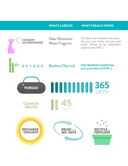 Desodorante Natural para Zapatos PURGGO - Carbón de Bambú - 2 Piezas