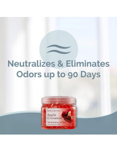 Gel Eliminador de Olores SMELLS BEGONE - Manzana y Canela - 340g 2