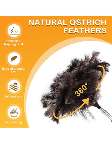 Plumero de Plumas de Avestruz RONSUNG con Mango Telescópico 190.5 cm