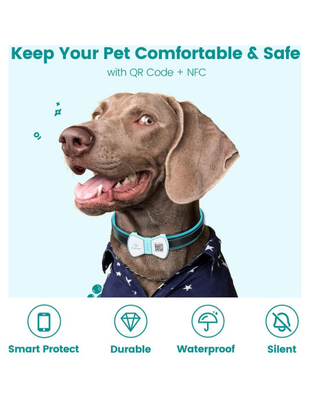 Etiqueta de Silicona PawView para Mascotas con Código QR - Azul Etiqueta de Silicona PawView para Mascotas con Código QR - Azul