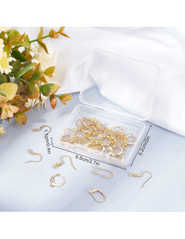 Beebeecraft Kit 50 Ganchos de Pendientes Oro 18K 5 Estilos