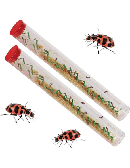 Kit de Crecimiento de Mariquitas Insect Lore - 10 Larvas Vivas Kit de Crecimiento de Mariquitas Insect Lore - 10 Larvas Vivas