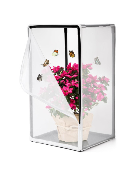 Jaula de Hábitat para Mariposas Kingrol 42x42x78 cm Malla Jaula de Hábitat para Mariposas Kingrol 42x42x78 cm Malla